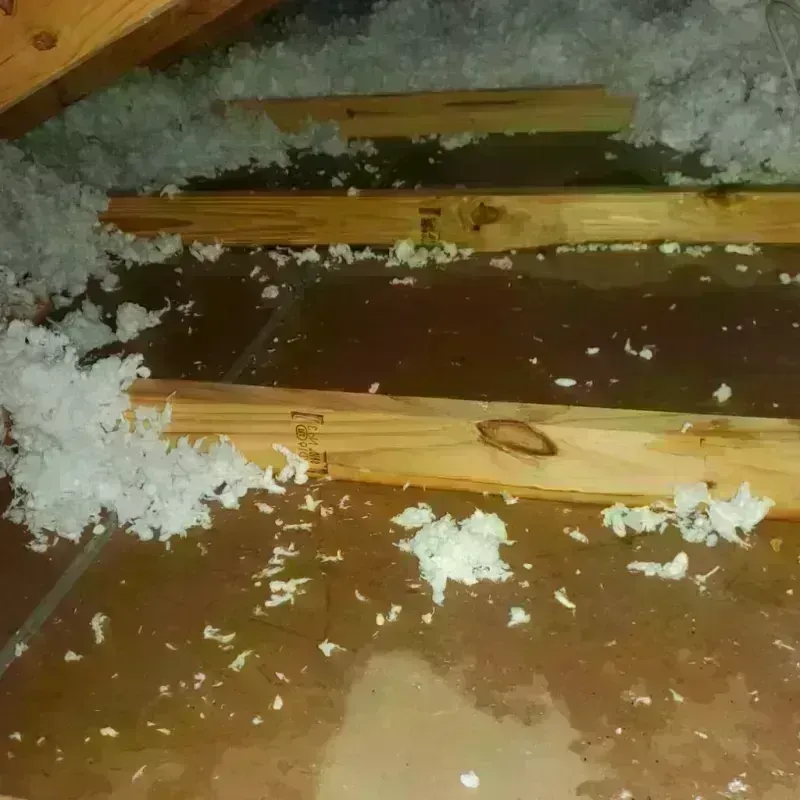 Attic Water Damage in Saint Mary Parish, LA